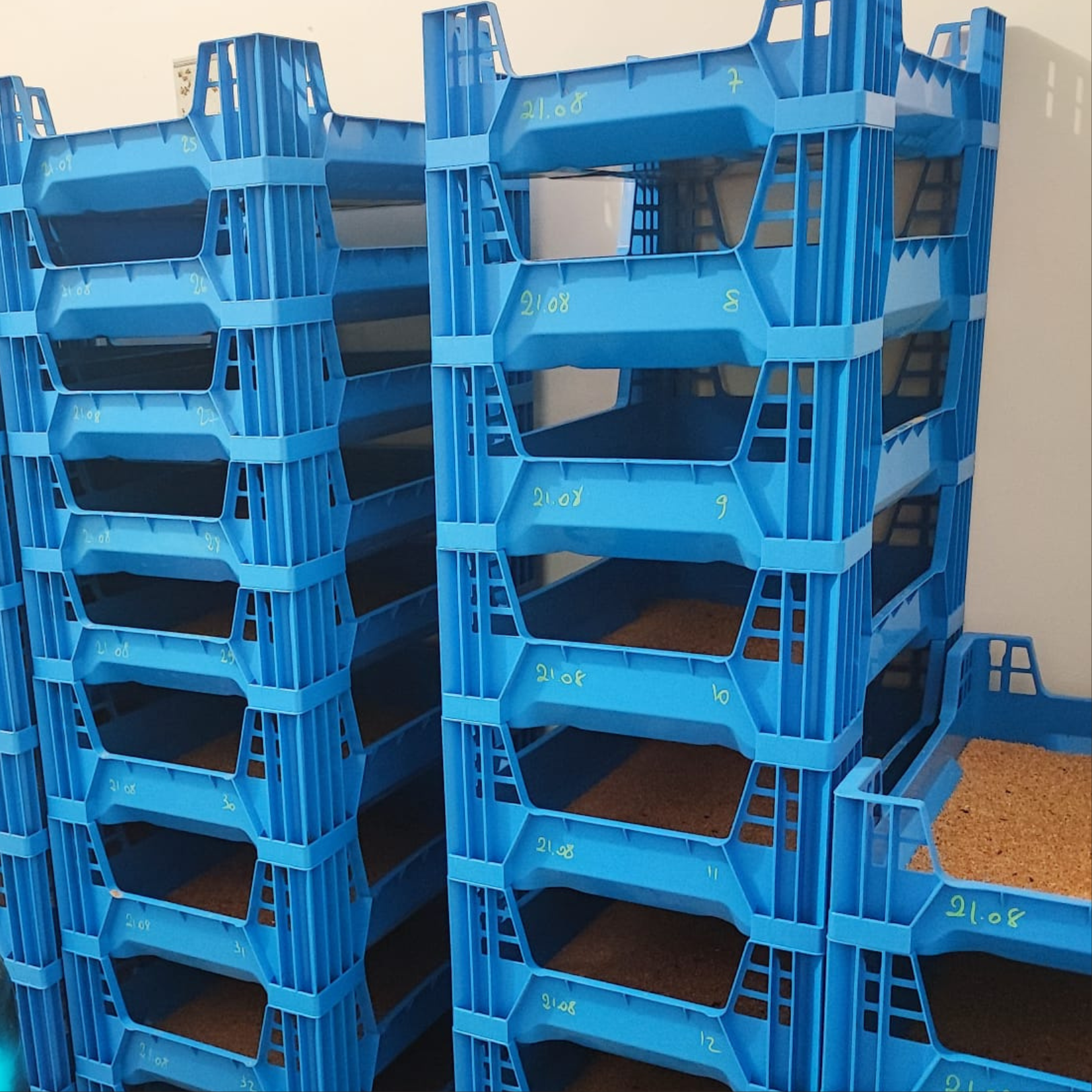 L’élevage d’insectes c’est avant tout un élevage avec peu de prise au sol, vertical ! Produire des kilos de protéines d’insectes comestibles sur une petite surface de moins d’un mètre carré devient accessible à tous !