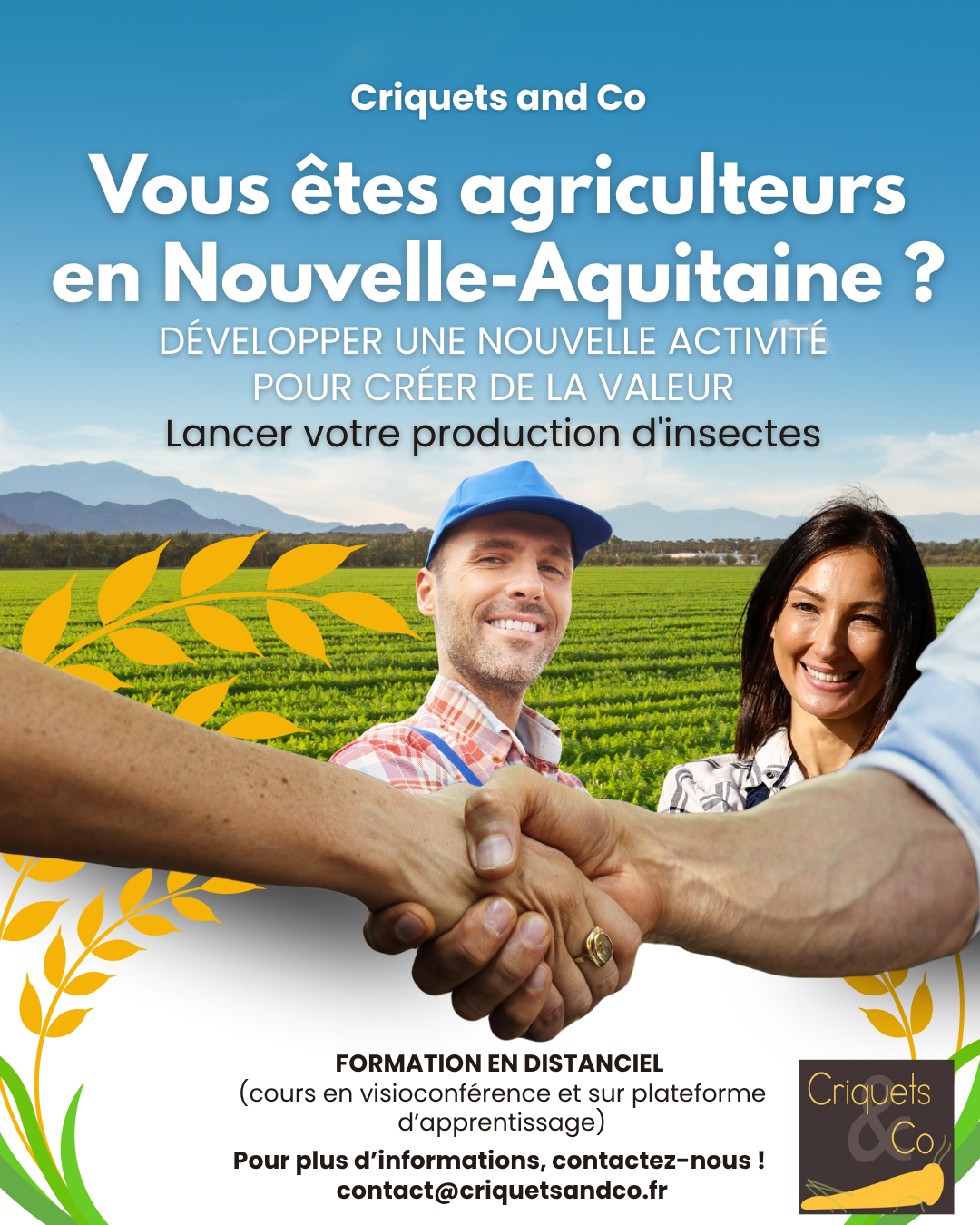 Lancer votre production d'insectes comestibles